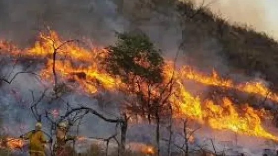 Sofía Jujuy Jiménez, acusada de maltrato animal por subirse a un caballo