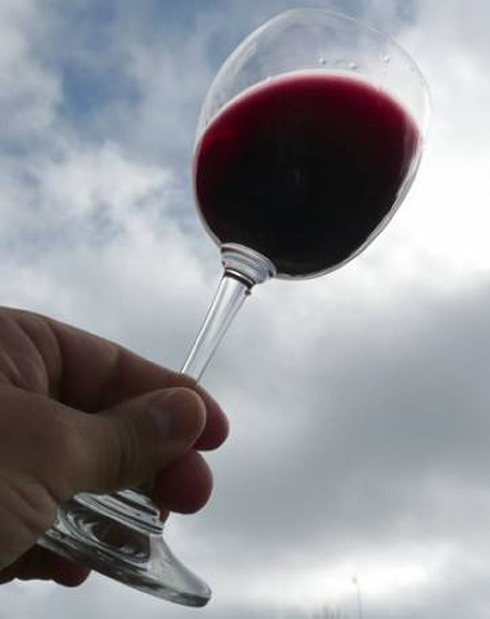 Syrah con estirpe propia