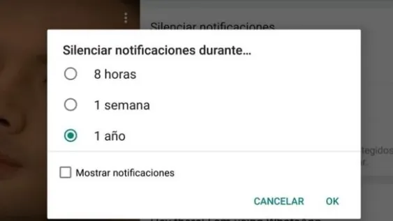 WhatsApp: cómo hacer para silenciar un grupo para siempre