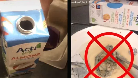 Una mujer halló un extraño animal adentro de una caja de leche