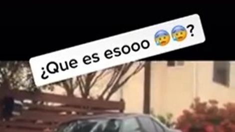 El video viral de una criatura extraña que tiene a todos espantados