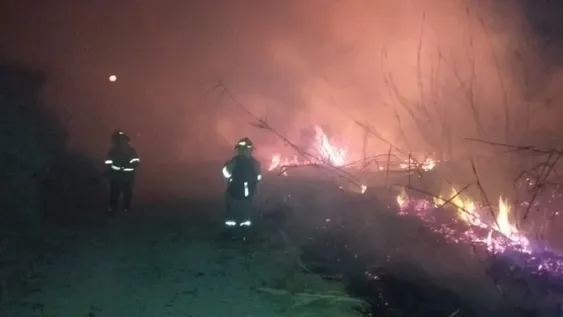 Arduo trabajo de Bomberos en dos incendios de cañaverales en Pocito