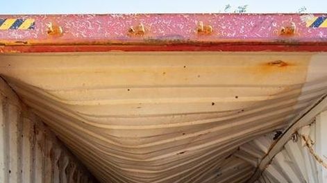 Sacaron un contenedor de fondo del mar luego de 22 meses y hallaron algo impresionante