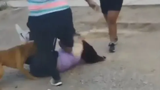 Dos mujeres se cruzaron a piñas y patadas mientras los vecinos filmaban la violenta pelea