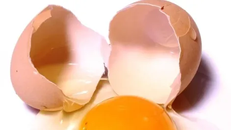 Trucos útiles: cómo saber si un huevo está malo o es fresco