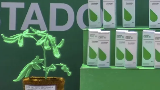 Cannabis: Jujuy entrega aceite