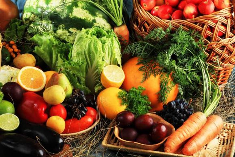 Alimentación en invierno