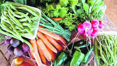 I Jornada Provincial de Agricultura Familiar (AF)