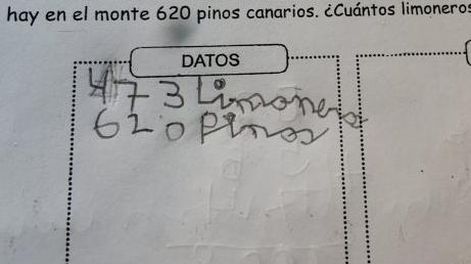 El problema matemático para chicos de primaria que nadie pudo resolver