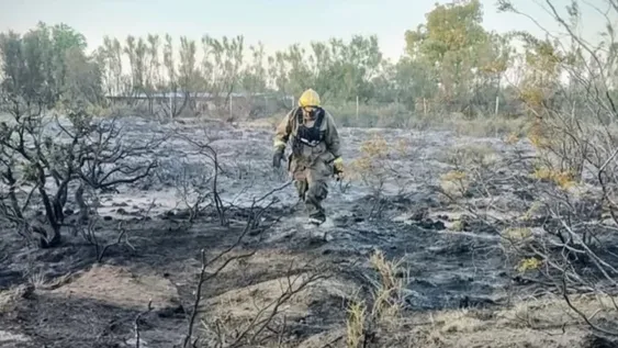 NEGRO. Hubo corte de luz por el fuego.
