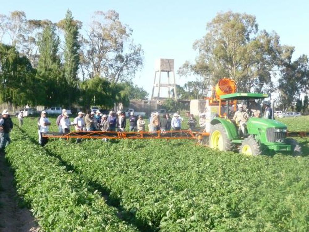 Presentan a campo una máquina pulverizadora para hortalizas