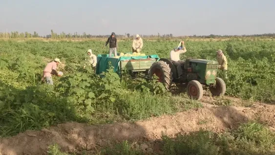 Hay nuevos créditos blandos  del CFI para la producción