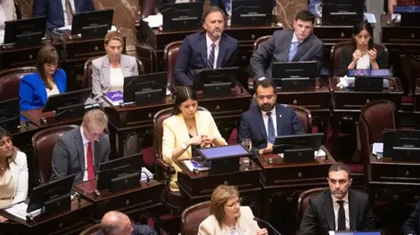 El Senado sancionó la ley de inocencia fiscal y se elevan los desfasados umbrales por evasión