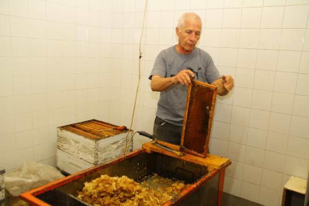 Por el agujero de ozono caería producción de miel en San Juan