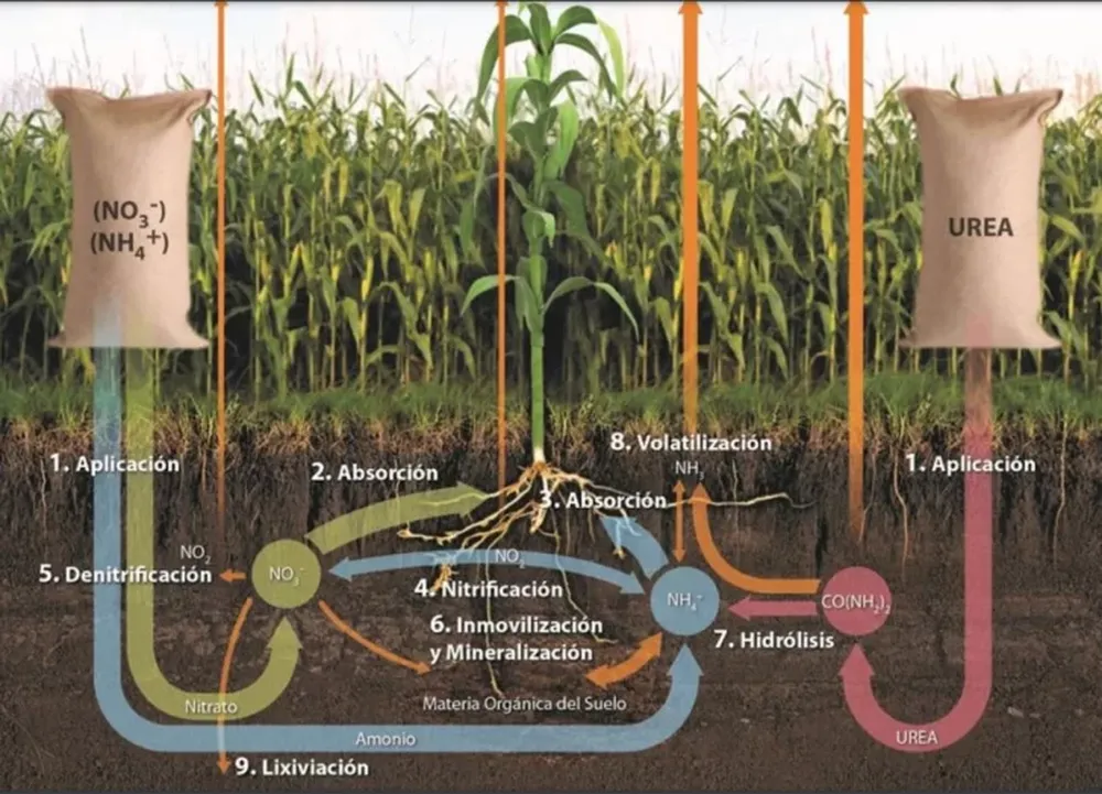 Nuevos desarrollos en técnicas de fertilización para los cultivos