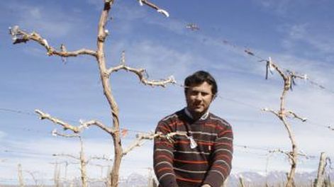 Vinos de altura: San Juan, cuarto en el mapa mundial