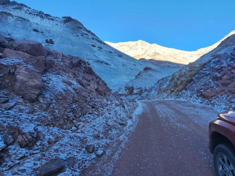 Argentina es uno de los pocos países del planeta que captura más carbono del que emite