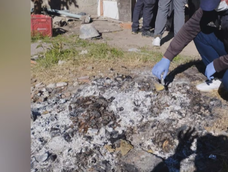 clinica trucha de gonzalez catan: durante un allanamiento encontraron documentos quemados clinica trucha de gonzalez catan: durante un allanamiento encontraron documentos quemados