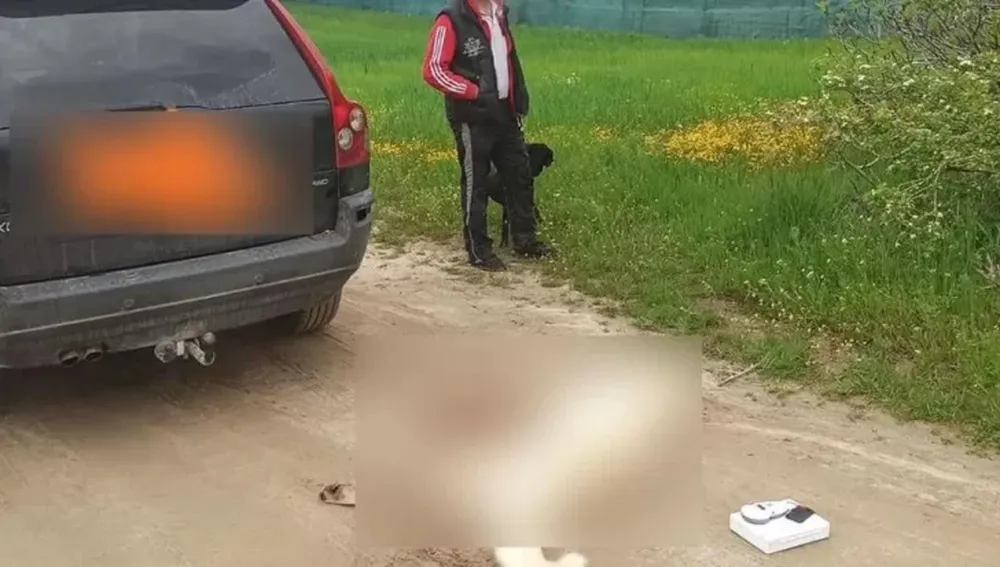 Violaron la cuarentena para arrastrar un perro con un auto hasta matarlo