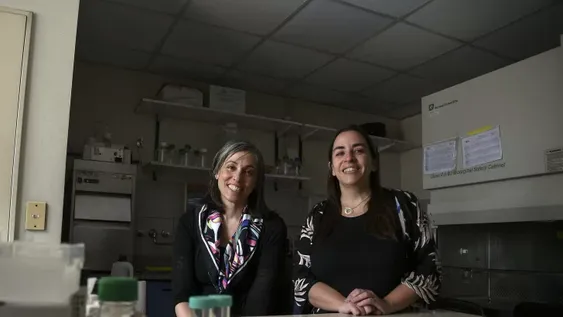 Los logros y desafíos en cuatro décadas de lucha contra el VIH