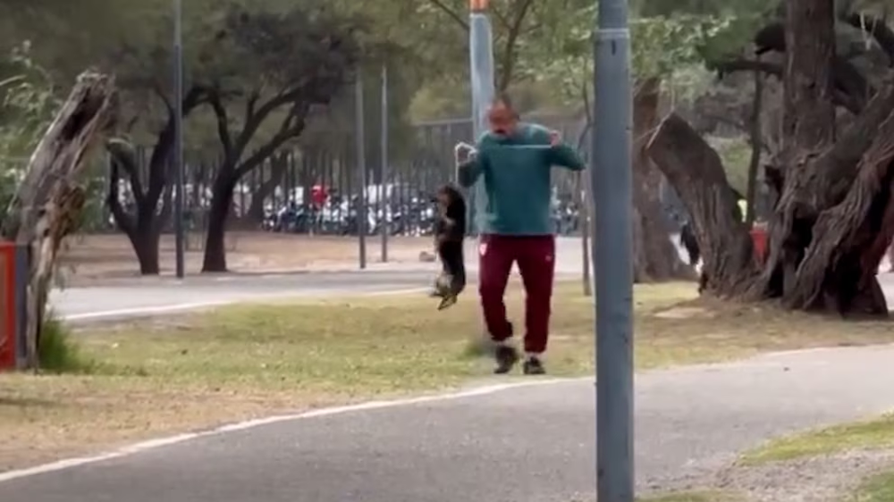 Rescataron a un perro salchicha tras un video de maltrato y la Justicia inició una causa en Catamarca