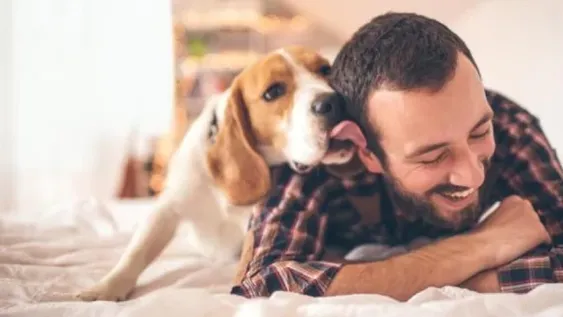 ¿Los perros pueden detectar cuando estamos tristes?