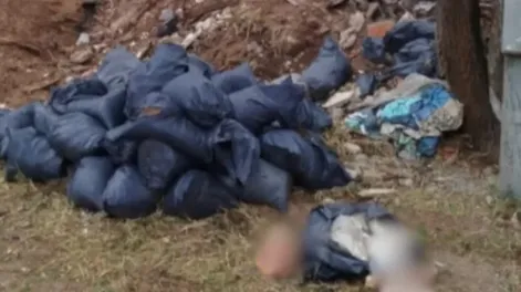 Macabro hallazgo: identificaron el cuerpo desmembrado en Córdoba