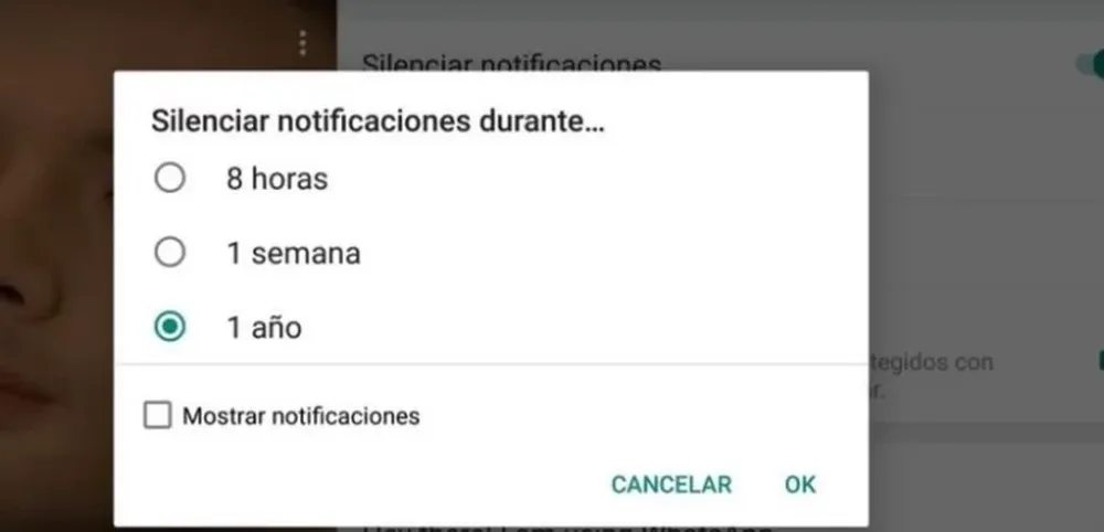 WhatsApp: cómo hacer para silenciar un grupo para siempre