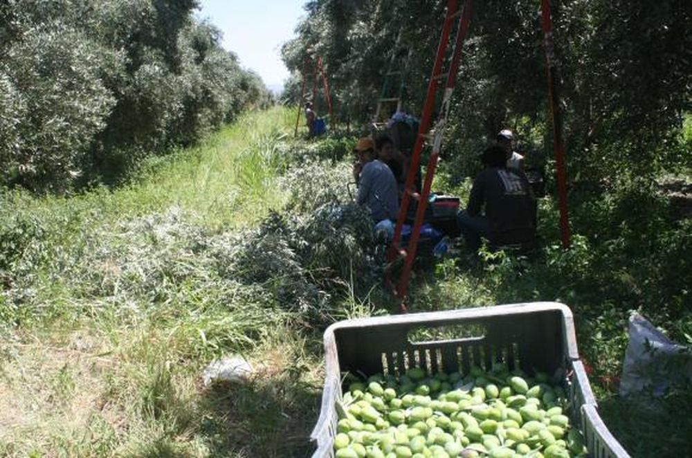 En San Juan están contentos pero quieren más mejoras