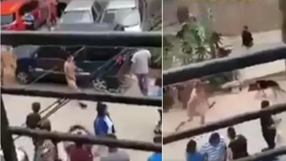 Vecinos desnudaron a tres delincuentes y los hicieron correr por el barrio