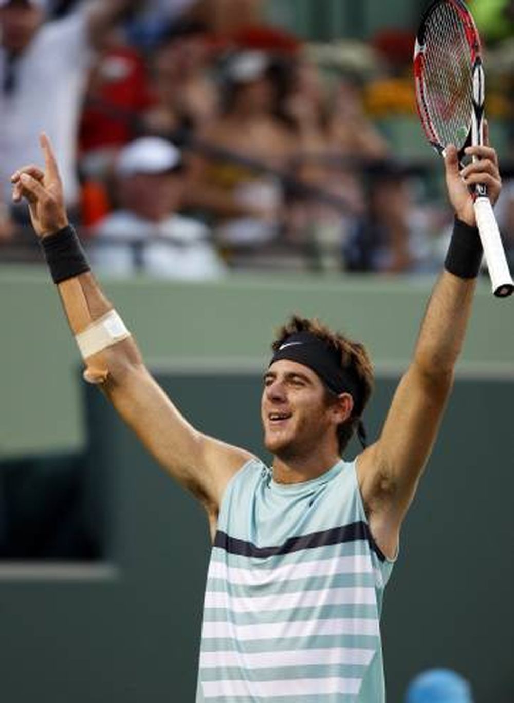 Del Potro avanzó a cuartos de final