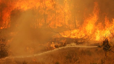 Arde California
