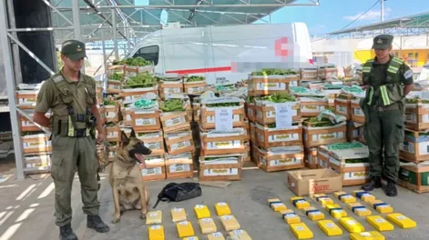 Imágenes inéditas y cómo llegaron a los casi 64 kilos de cocaína secuestrados en San Juan