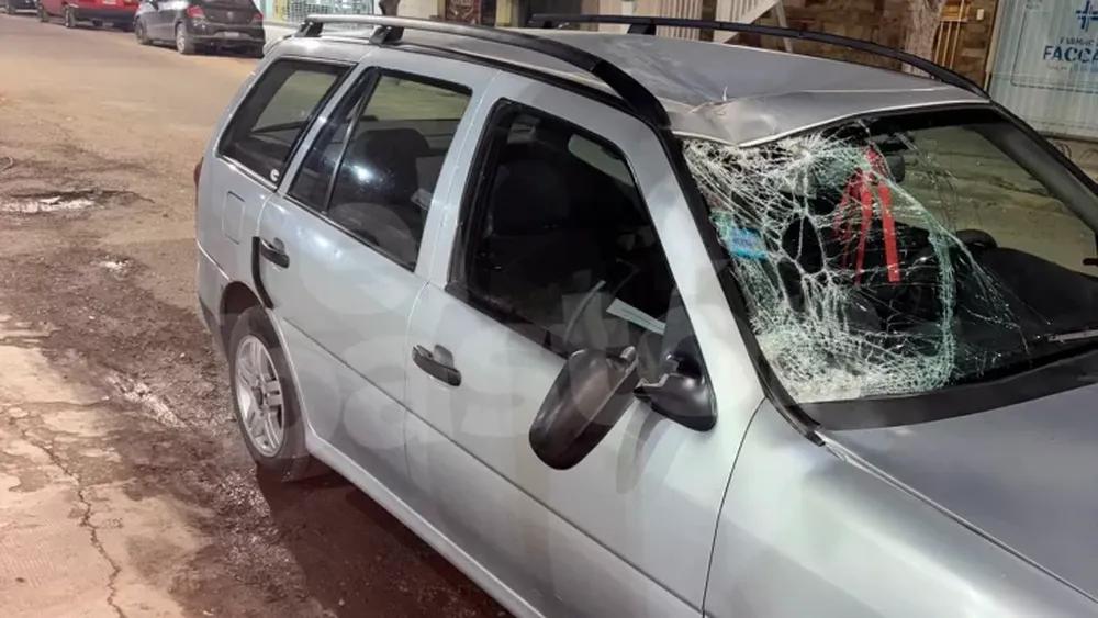 En la misma semana, segundo accidente con animales sueltos. (Foto El Bastón)