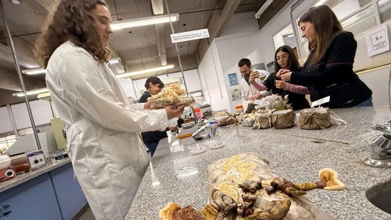 Cambiar el paradigma: investigadores sanjuaninos impulsan biofertilizantes y soluciones sustentables para la agroindustria