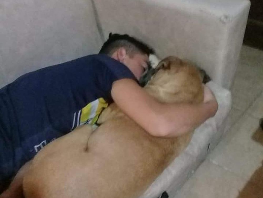 Una perra murió por la pirotecnia y su historia se volvió viral