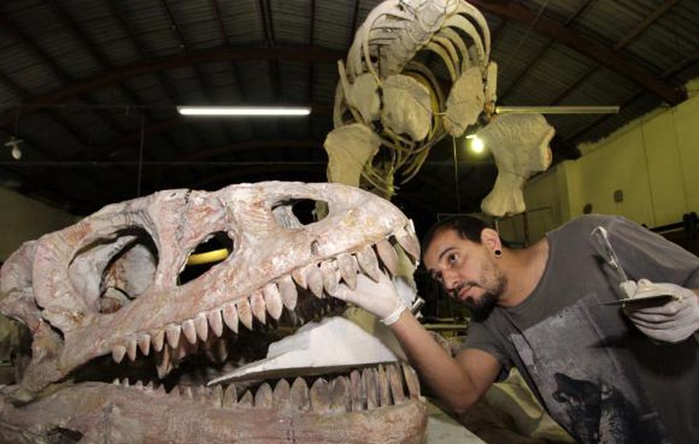 Un esqueleto gigante de dinosaurio irá a la ruta 150