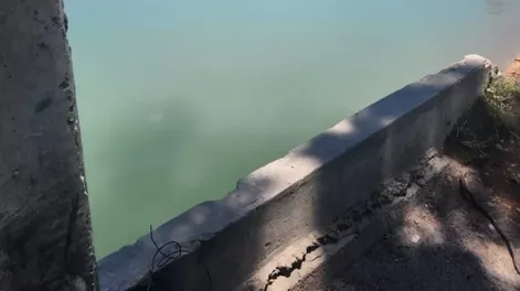 La muerte en el canal Benavídez se encamina a pasar al archivo