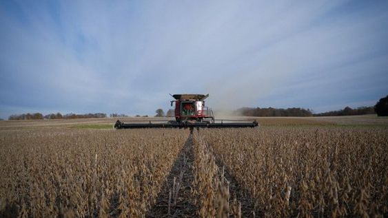 El Gobierno no descarta subir las retenciones: el campo, en guardia