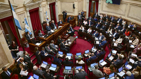 El Senado mientras debatía el acuerdo Mercosur-Unión Europea.