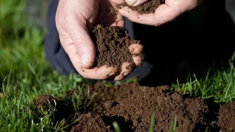Diario de Cuyo | jardin_apertura 728x410.webp
