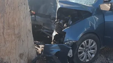 Perdió el control del auto se estrelló contra un árbol