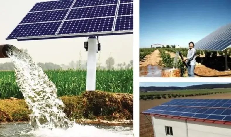 Préstamos del BICE para el sector vitivinícola