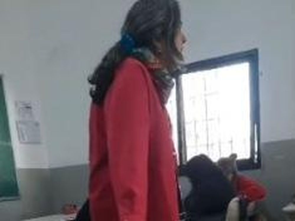 Una docente insultó a sus alumnos por simpatizar con Milei y el video se viralizó