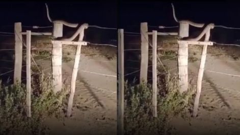 Le negaron la atención en el hospital, parió en la calle y su bebé se fracturó la clavícula