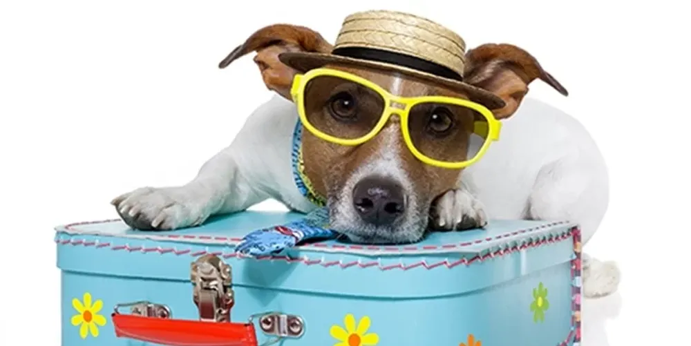 Mascotas de vacaciones