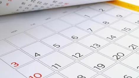 Calendario de feriados 2025: cuántos son y cuándo hay fin de semana largo