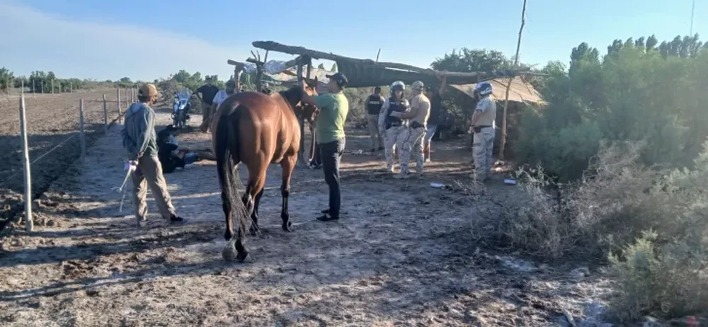Desbarataron carreras ilegales de caballos en Cochagual: seis personas quedaron detenidas
