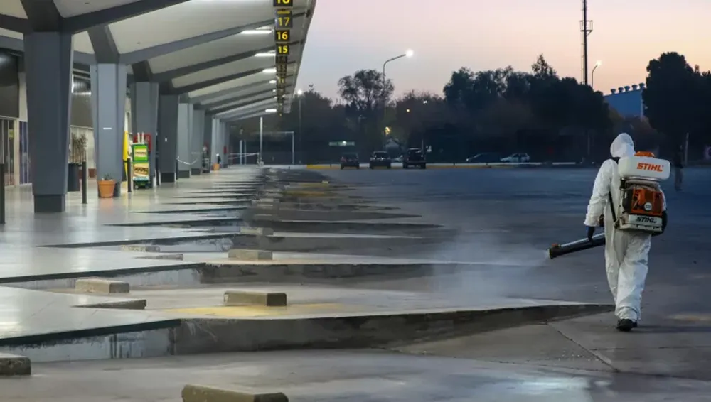 Ya preparan la vuelta de los micros de media y larga distancia: quiénes podrán usarlos