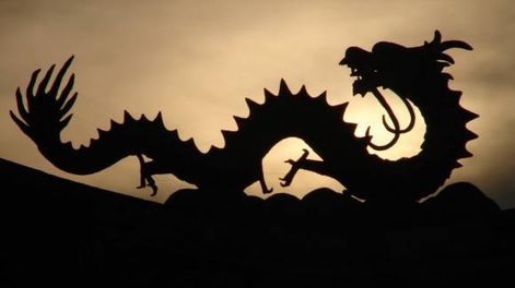 El año del Dragón